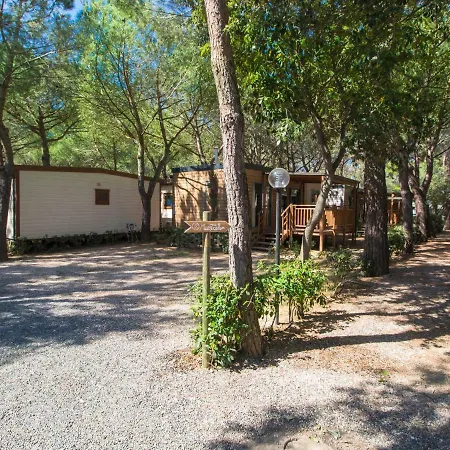 Gineprino-10 By Interhome Holiday home Marina Di Bibbona